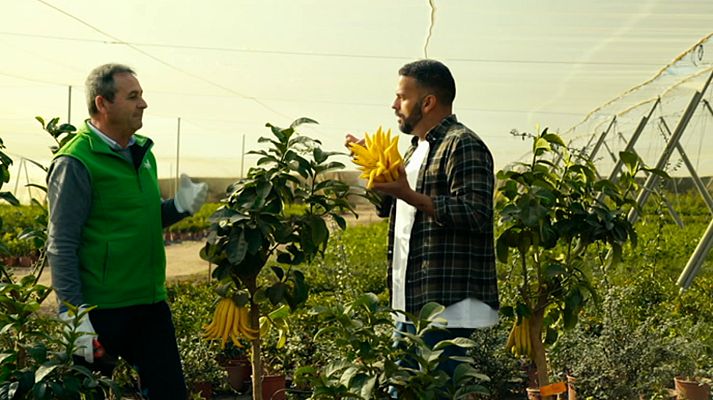 Las Rutas de... - Valencia, el Levante acogedor