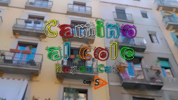 Seguridad vital 5.0 - Seguridad Vital - 24/05/20