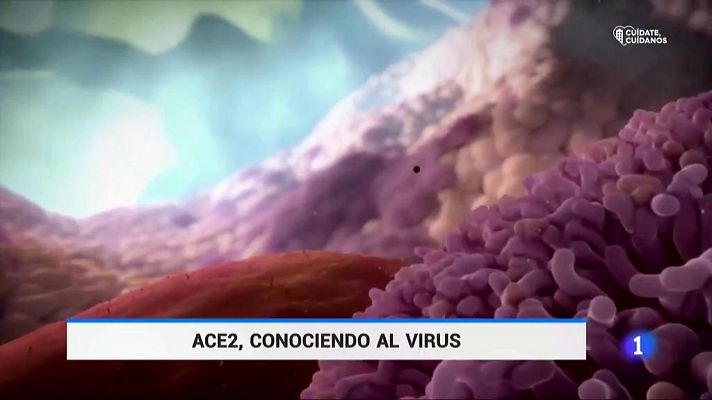 RTVE Igualdad - El Coronavirus trata diferente a hombres y mujeres