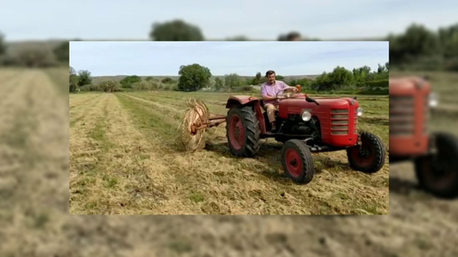 Aquí la Tierra - 24/05/20 - ver ahora