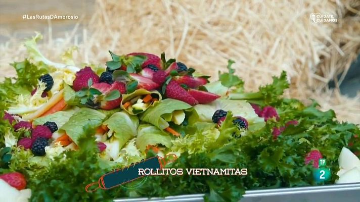 RTVE Cocina - Rollitos Vietnamitas