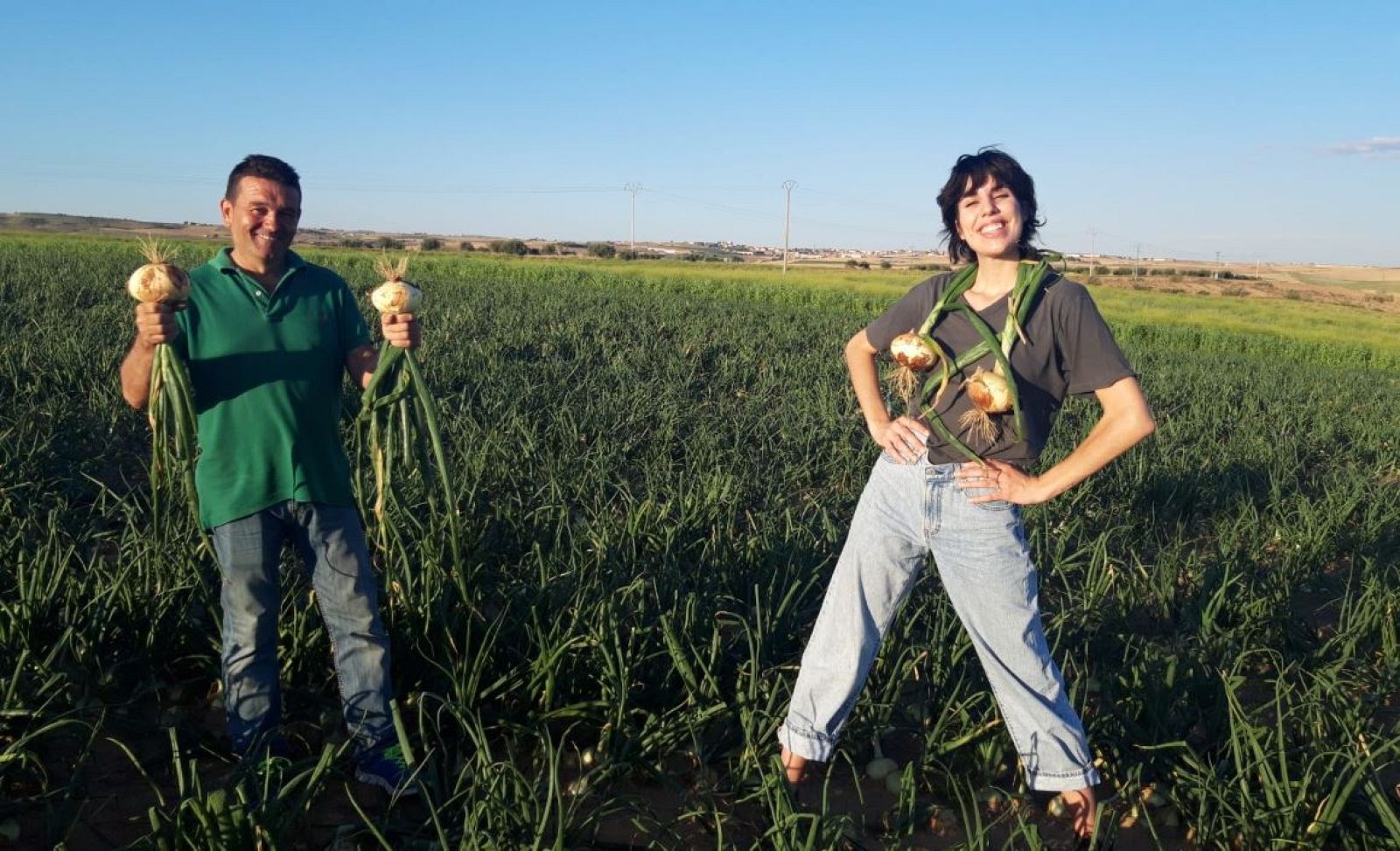Cebollas, cebolletas y calabazas