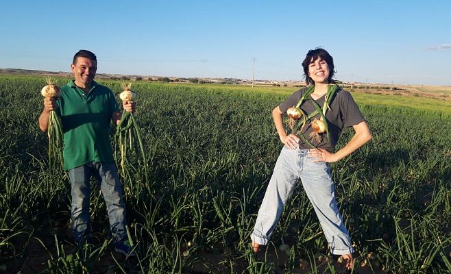 Aquí la Tierra - Cebollas, cebolletas y calabazas