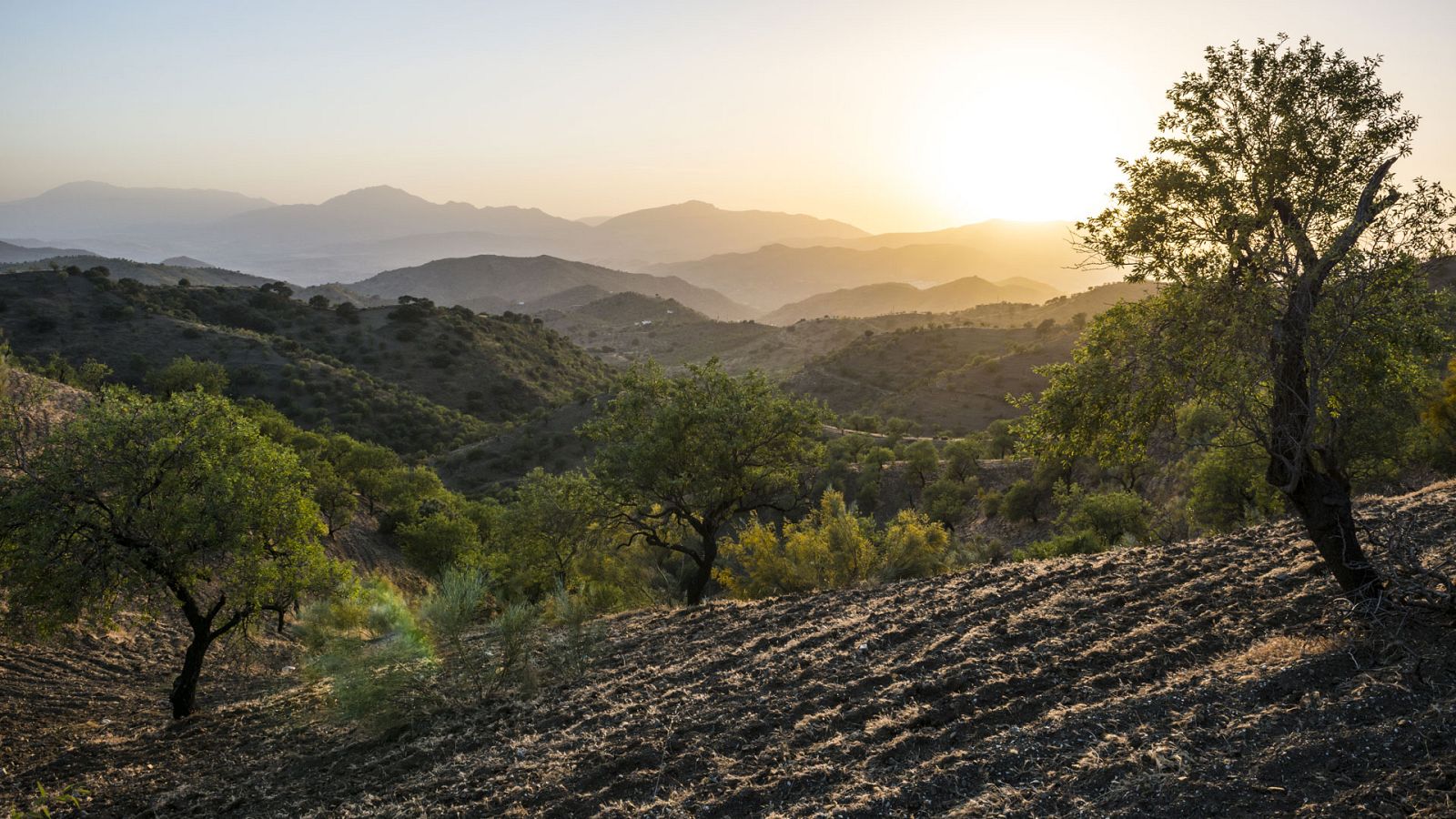 Tiempo seco y soleado con cielo poco nuboso en amplias zonas del país - Ver ahora
