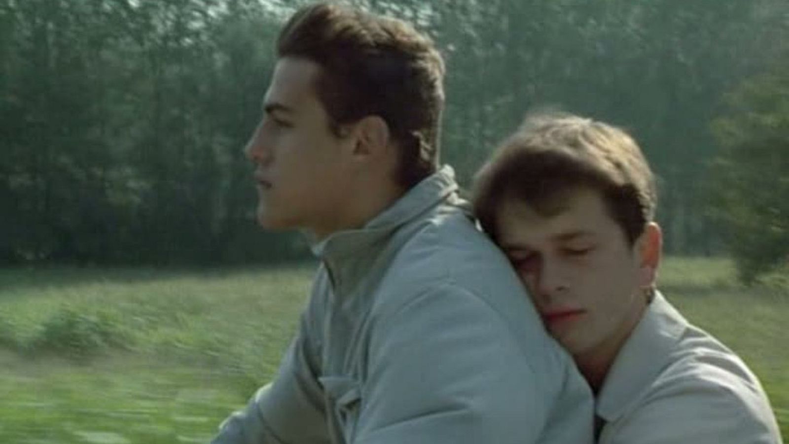 Qué grande es el cine - Los juncos salvajes