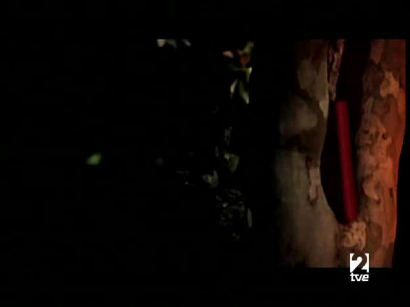 Página 2 - Almudena Grandes - Página Dos | Ver