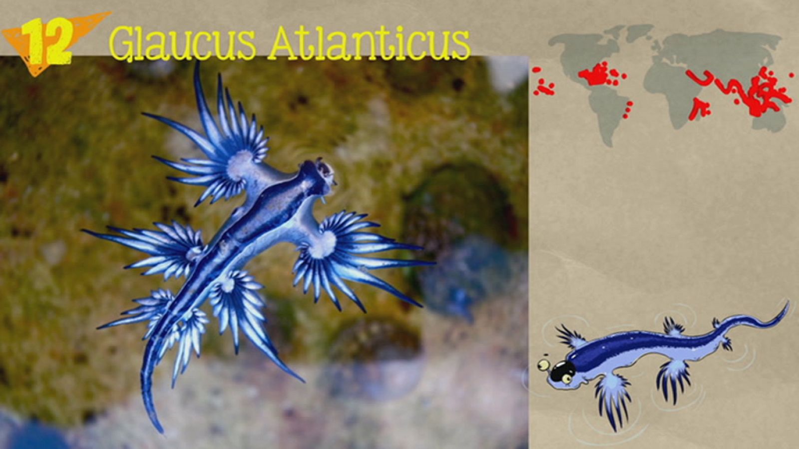 Aprendemos en casa 10 a 12 años - Programa 44 - Ciencias Naturales (29/05/20) - RTVE.es - Aprendemos en casa 10 a 12 | Ver