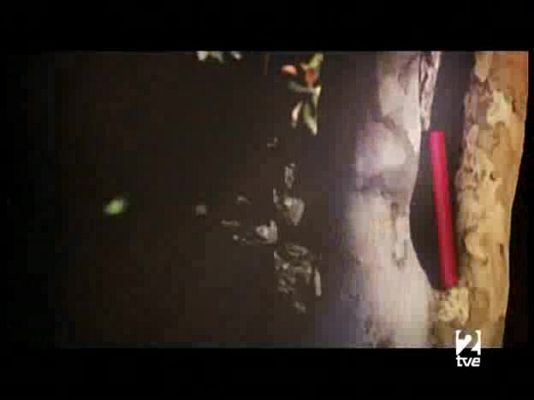 Página Dos - Página 2 - 15/06/08