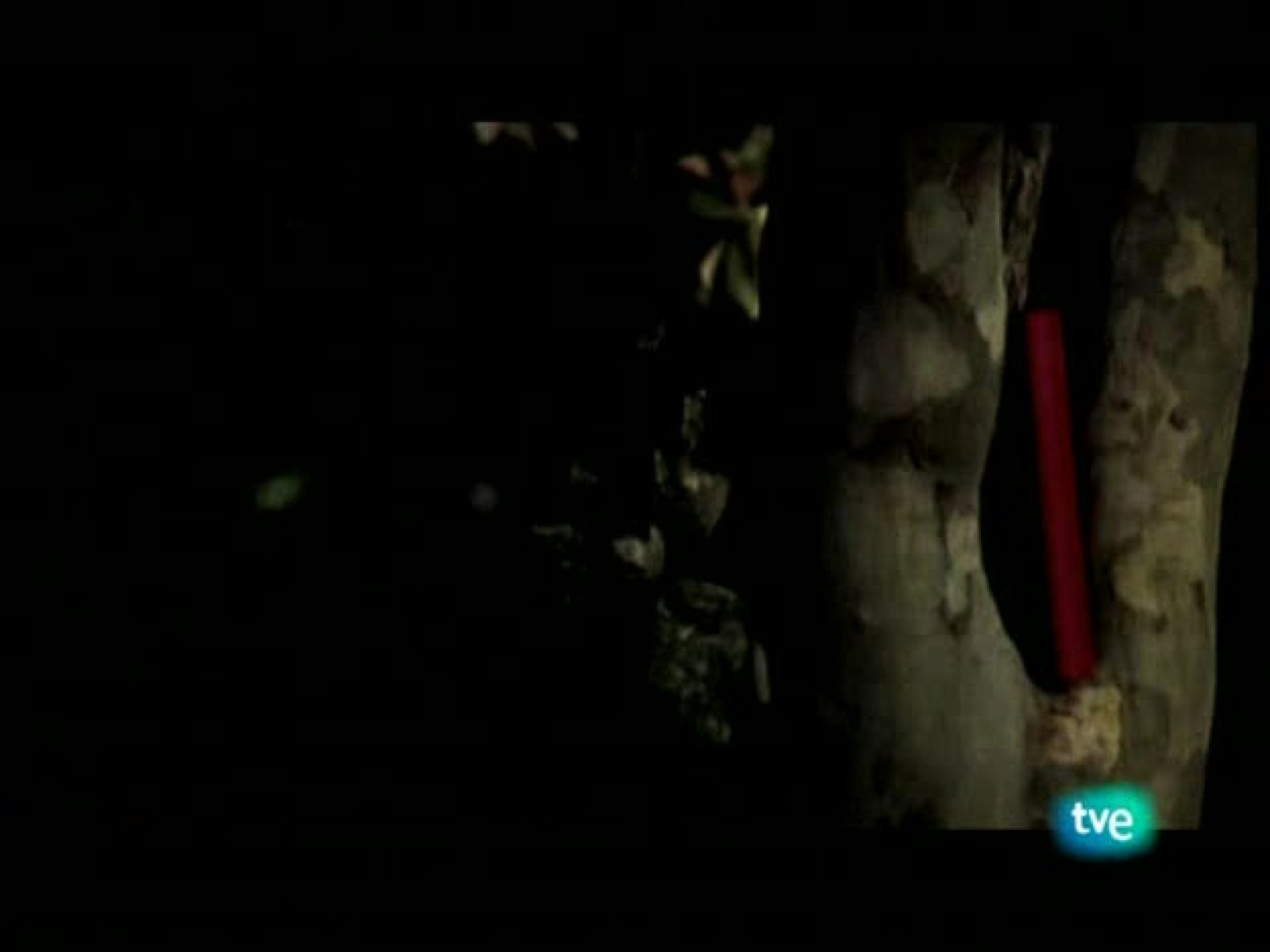 Página 2 - 21/09/08 - Página Dos | Ver