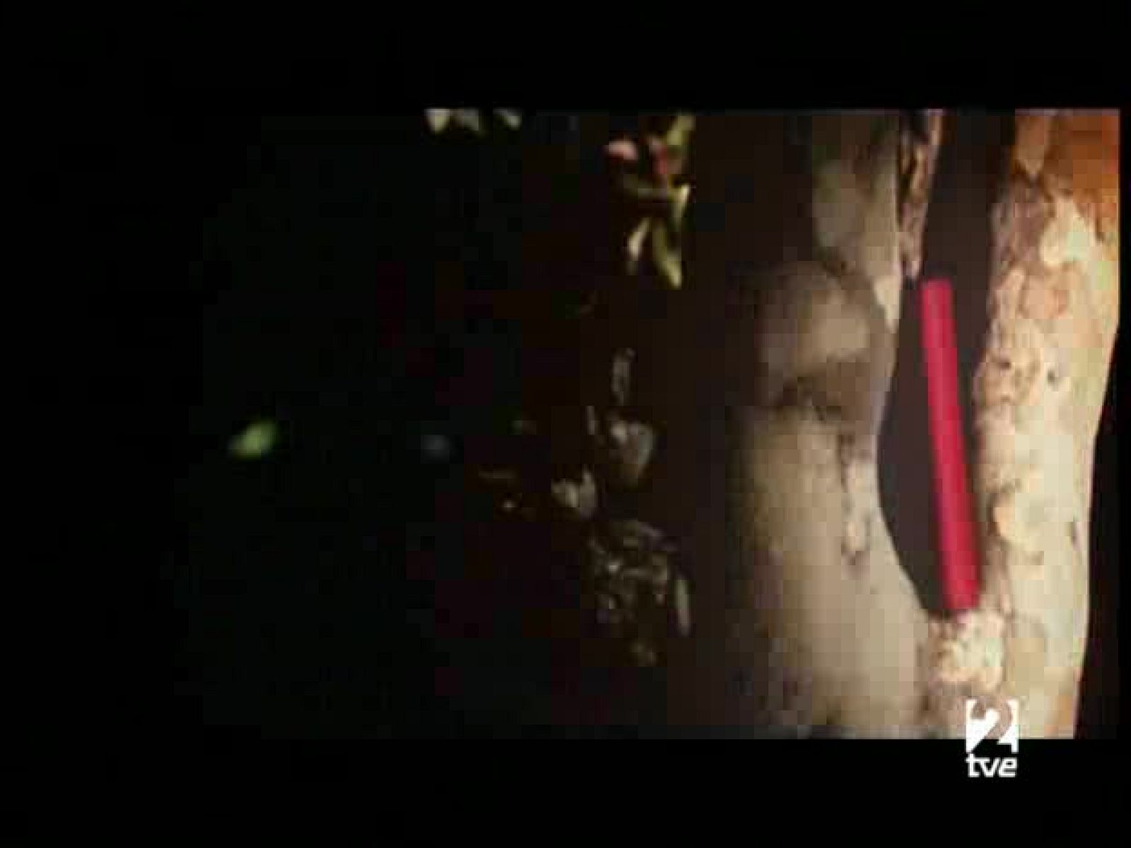 Página 2 - 29/06/08 - Página Dos | Ver