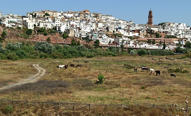 Montoro, el pueblo más caluroso de España - España Directo | Ver
