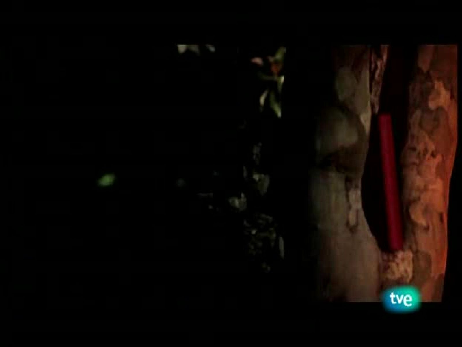 Página 2 - 05/10/08 - Página Dos | Ver