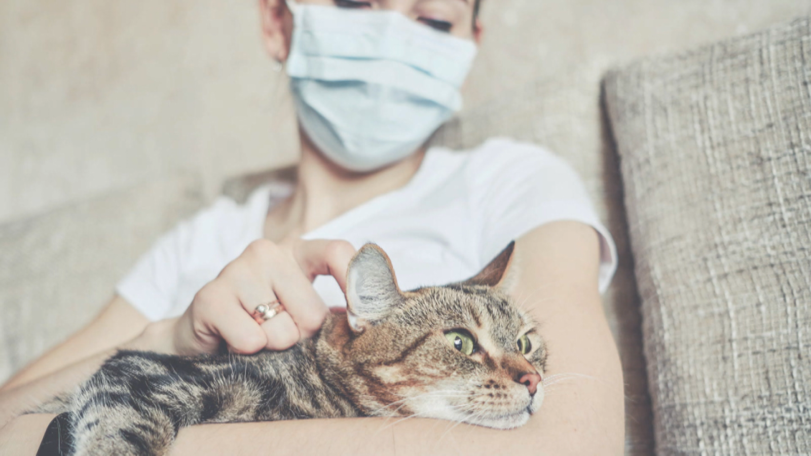 La cadena de contagio del coronavirus