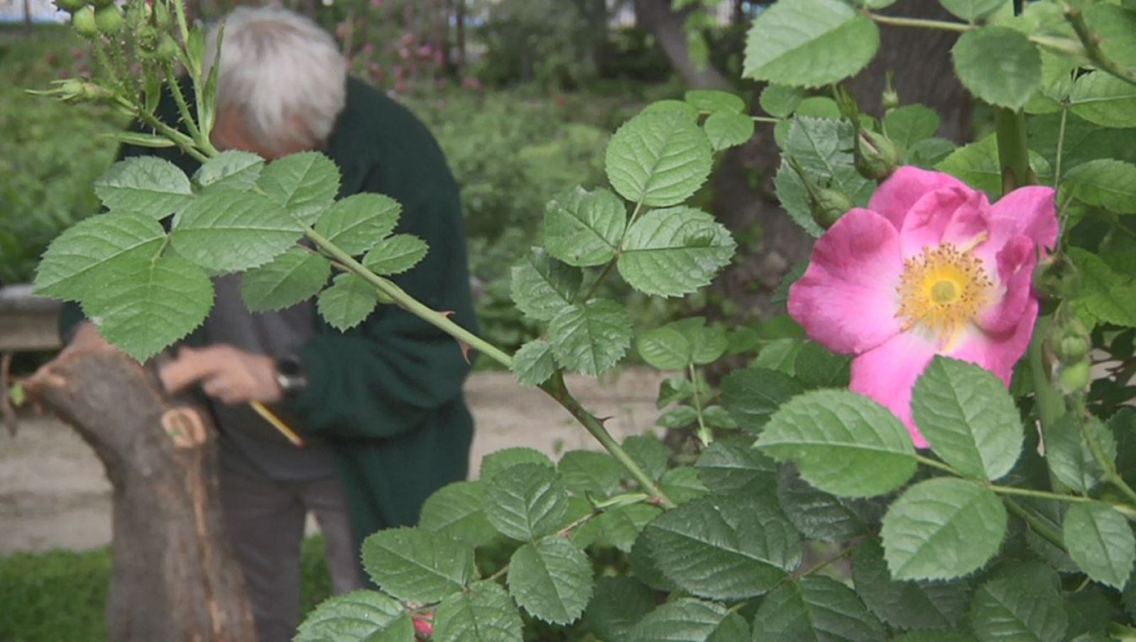 Jardín Botánico, un lugar que cuidar