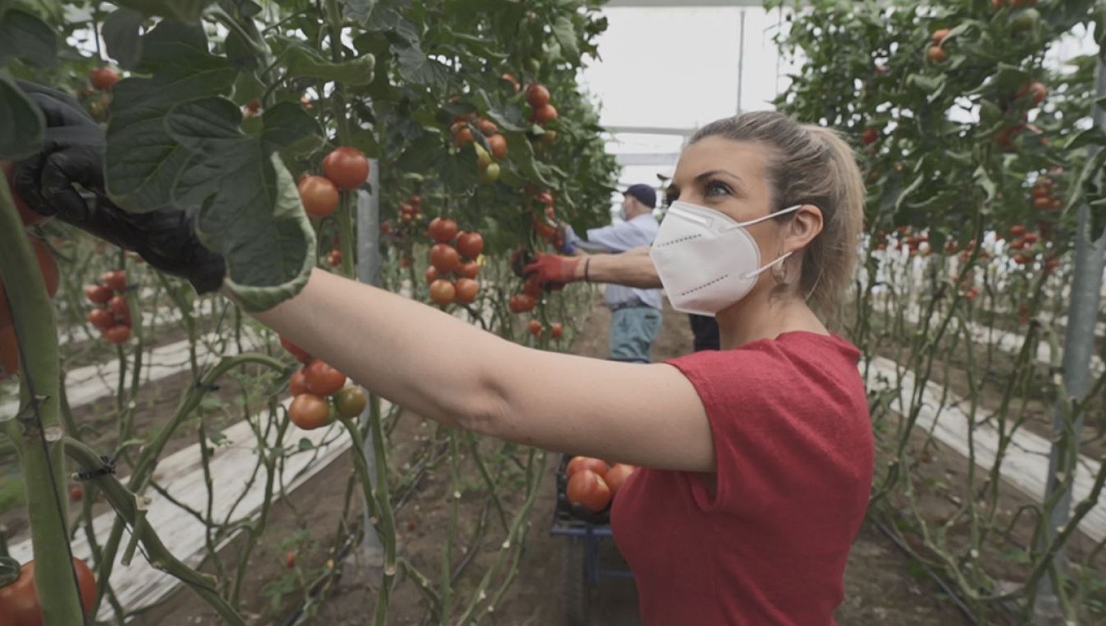 Aquí la Tierra - 29/05/20 - ver ahora