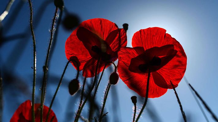 El tiempo - Predominio de cielo poco nuboso o despejado