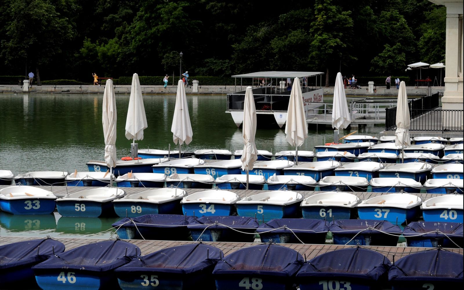 Especial Informativo - Coronavirus - 13 h. - 31/05/20 - ver ahora