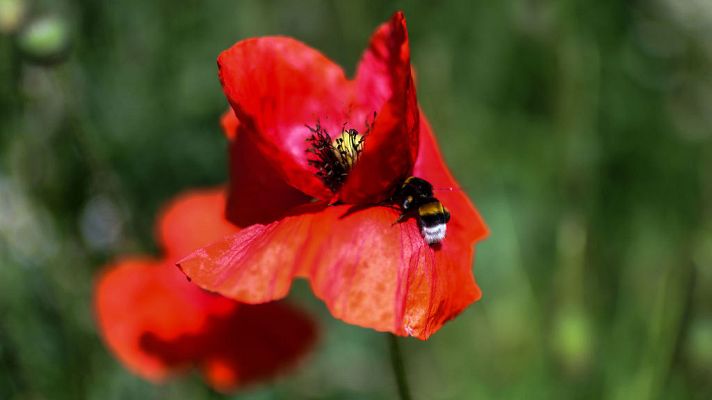 El tiempo - Se espera que aumente la nubosidad en la península