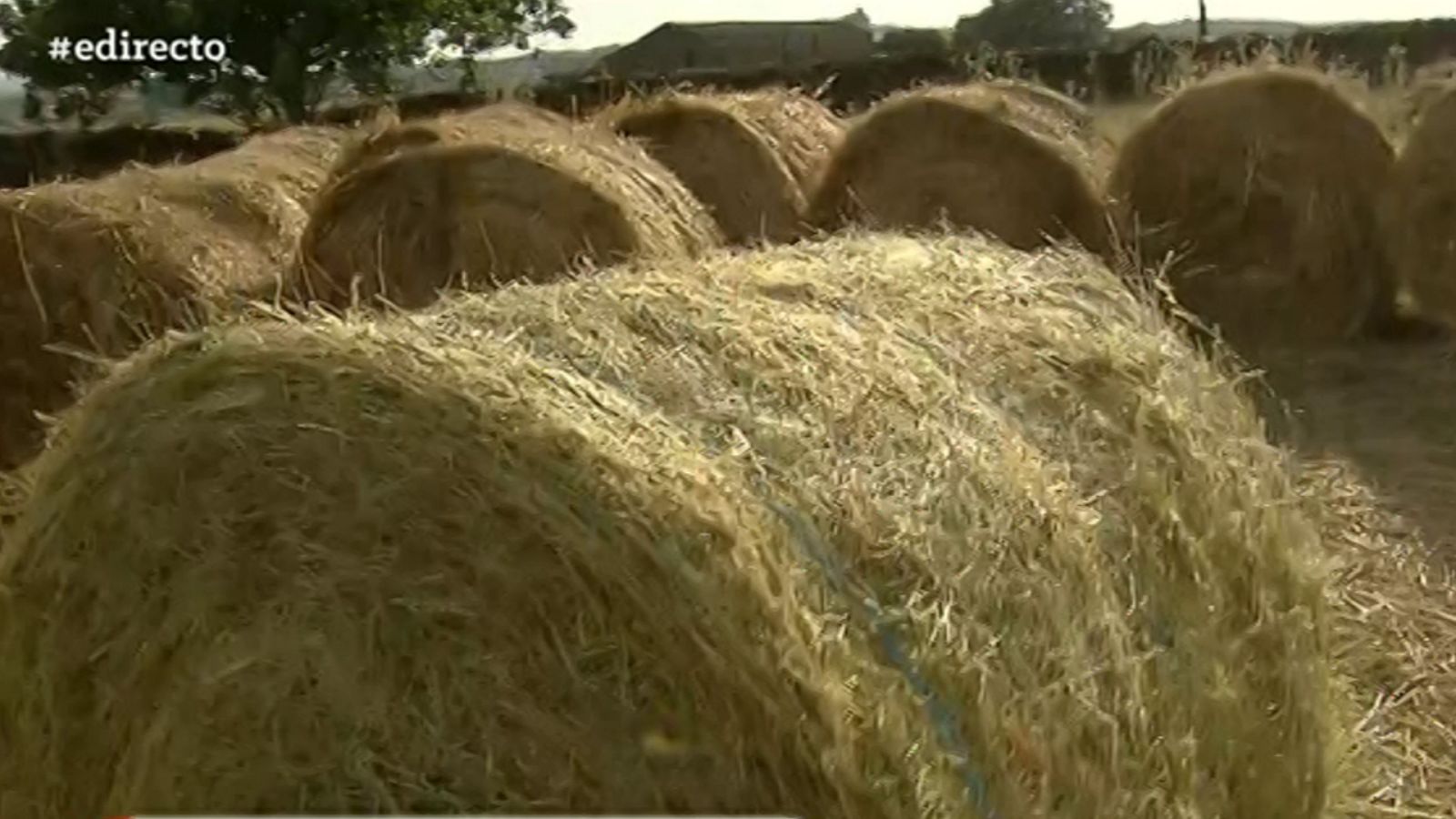 España Directo - 01/06/20 - ver ahora