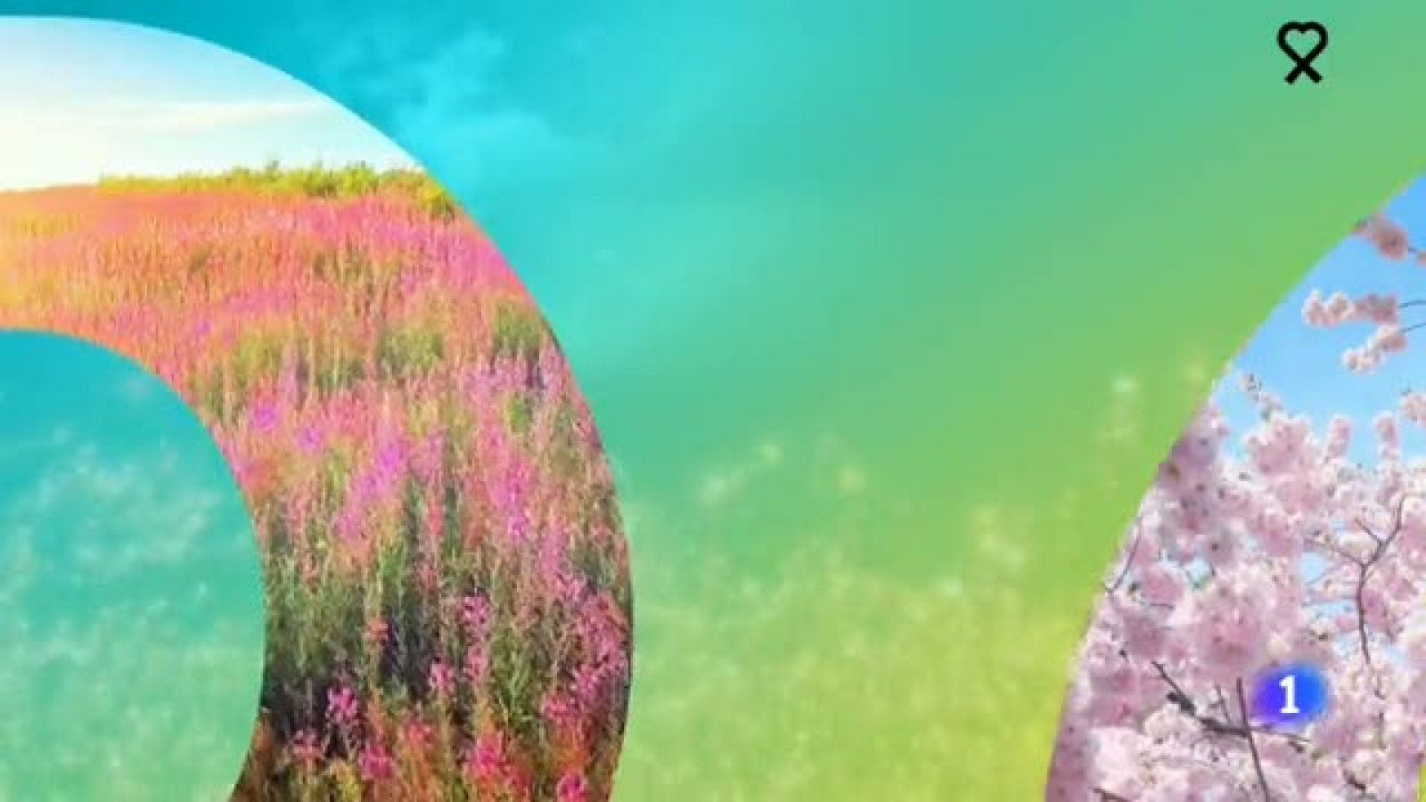 El tiempo en Aragón - 02/06/2020 | Ver