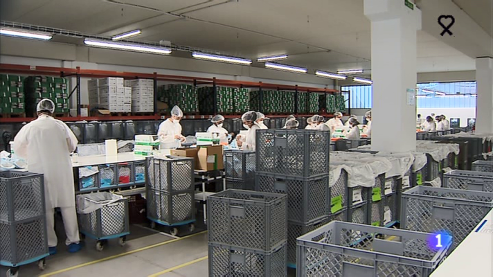 Informativo Telerioja - Informativo Telerioja - 2/06/20