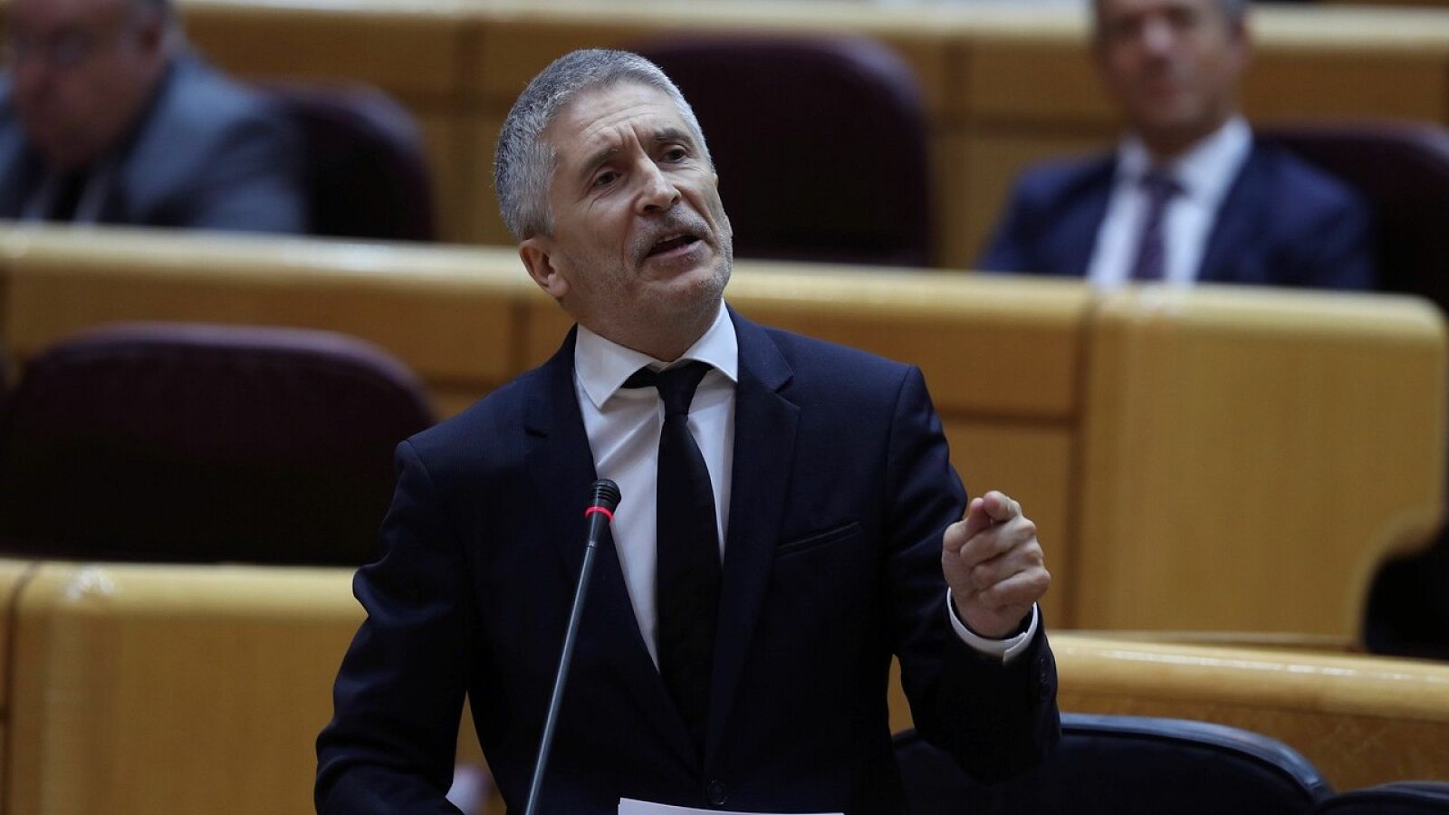 Grande-Marlaska: "Ni este ministro ni ningún miembro de su equipo pidió tener conocimiento de ningún informe"