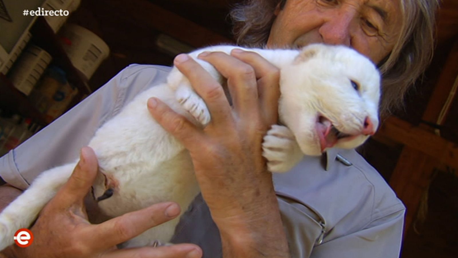 España Directo - 03/06/20 - ver ahora