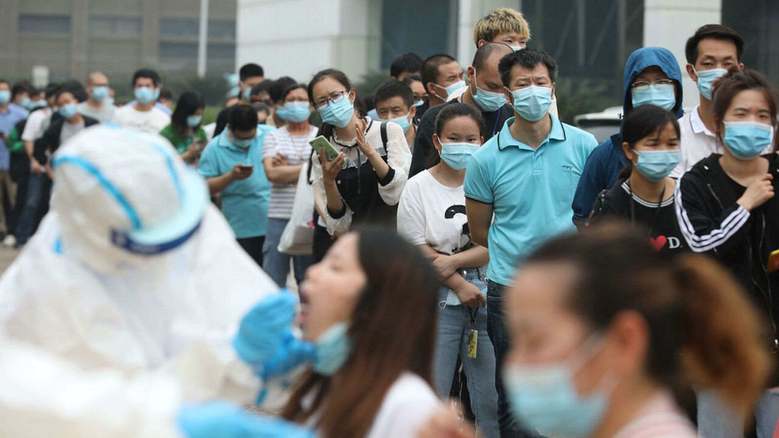 El escarabajo verde - Volver a conectar - ver ahora