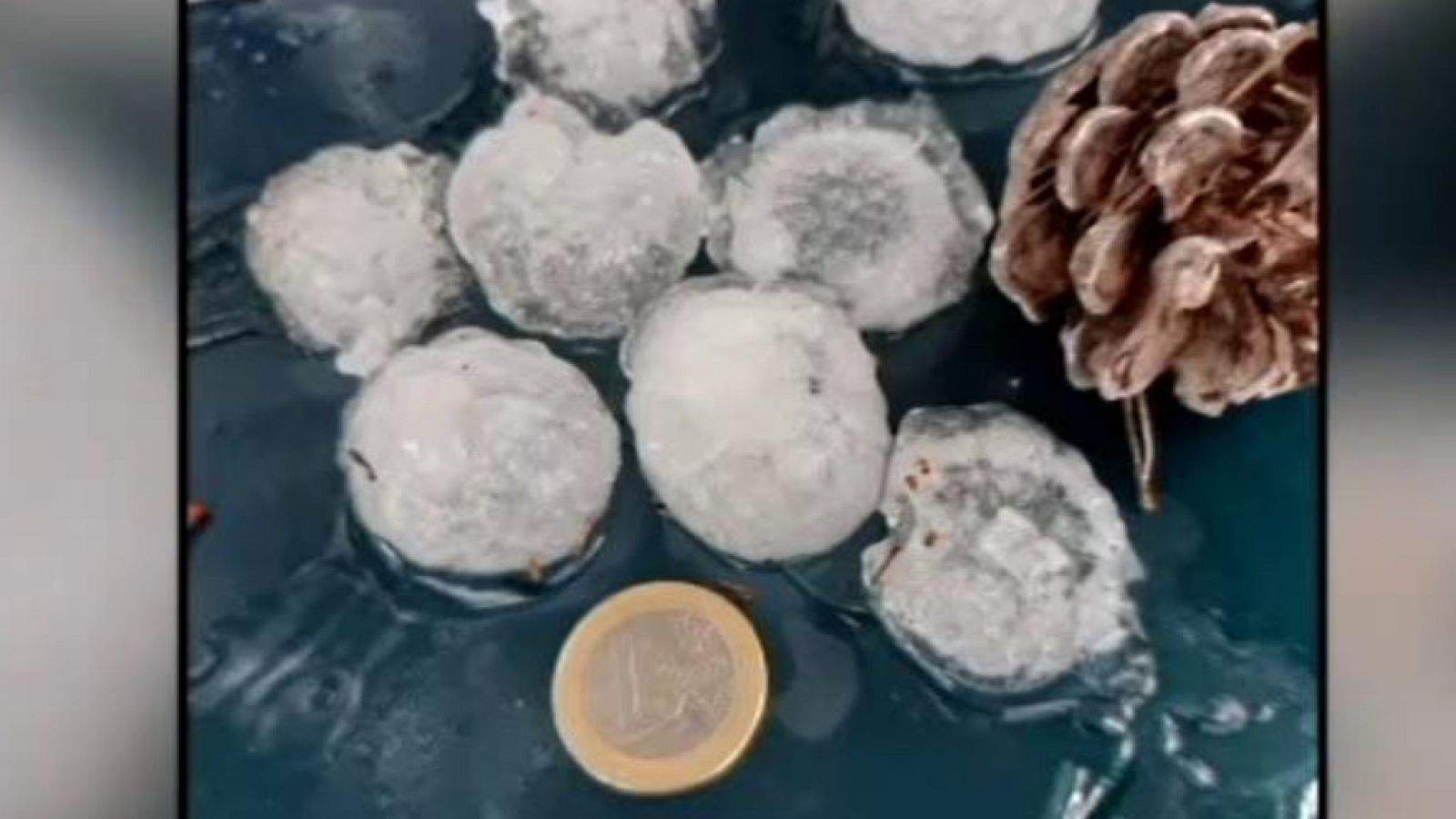 L'Informatiu - Comunitat Valenciana 2 - 08/06/20 - ver ahora