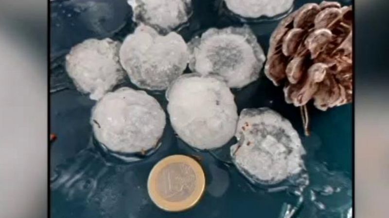 L'Informatiu - Comunitat Valenciana 2 - 08/06/20 - ver ahora