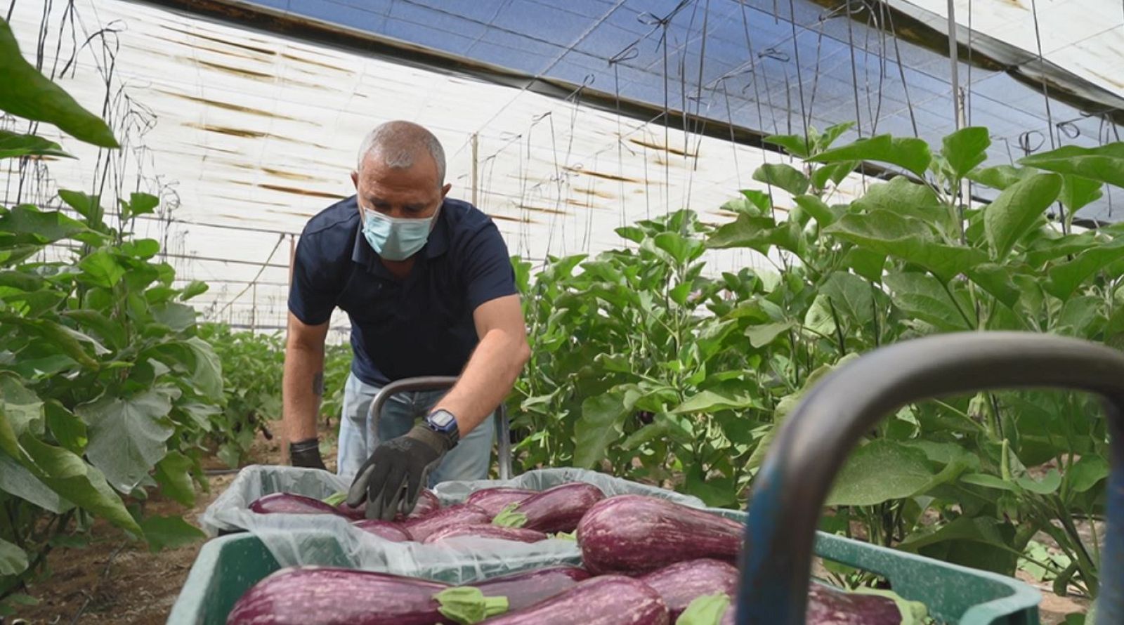 Aquí la Tierra - 08/06/20 - ver ahora