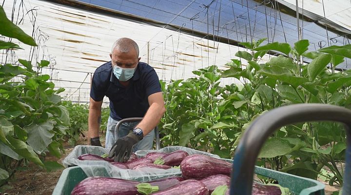 Aquí la Tierra - Aquí la Tierra - 08/06/20