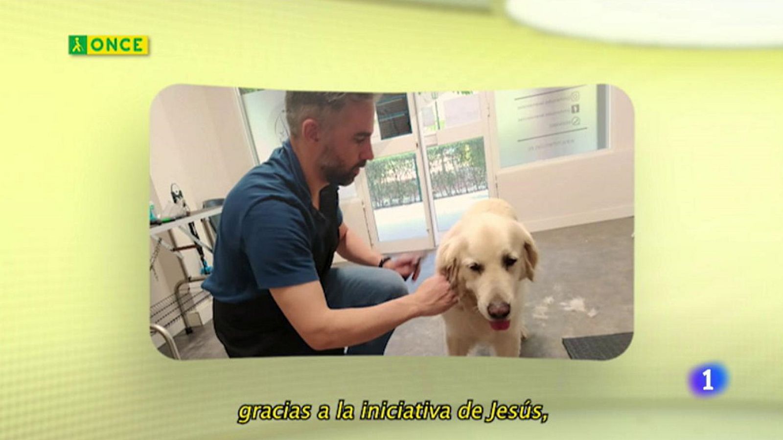 ONCE - 08/06/20 - ver ahora