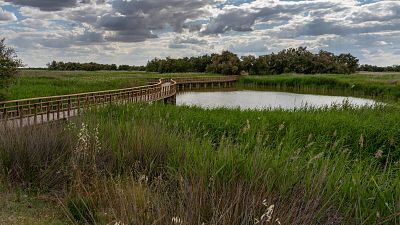 Las familias, uno de los principales p�blicos de las Tablas de Daimiel