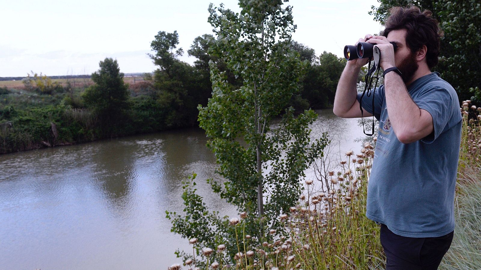 La caída de las temperaturas en estos días puede explicar, según los expertos, que todavía no se haya encontrado en el río Pisuerga a un cocodrilo que fue avistado el pasado viernes. Aunque se llegó a pensar que podría tratarse de una nutria, el disp