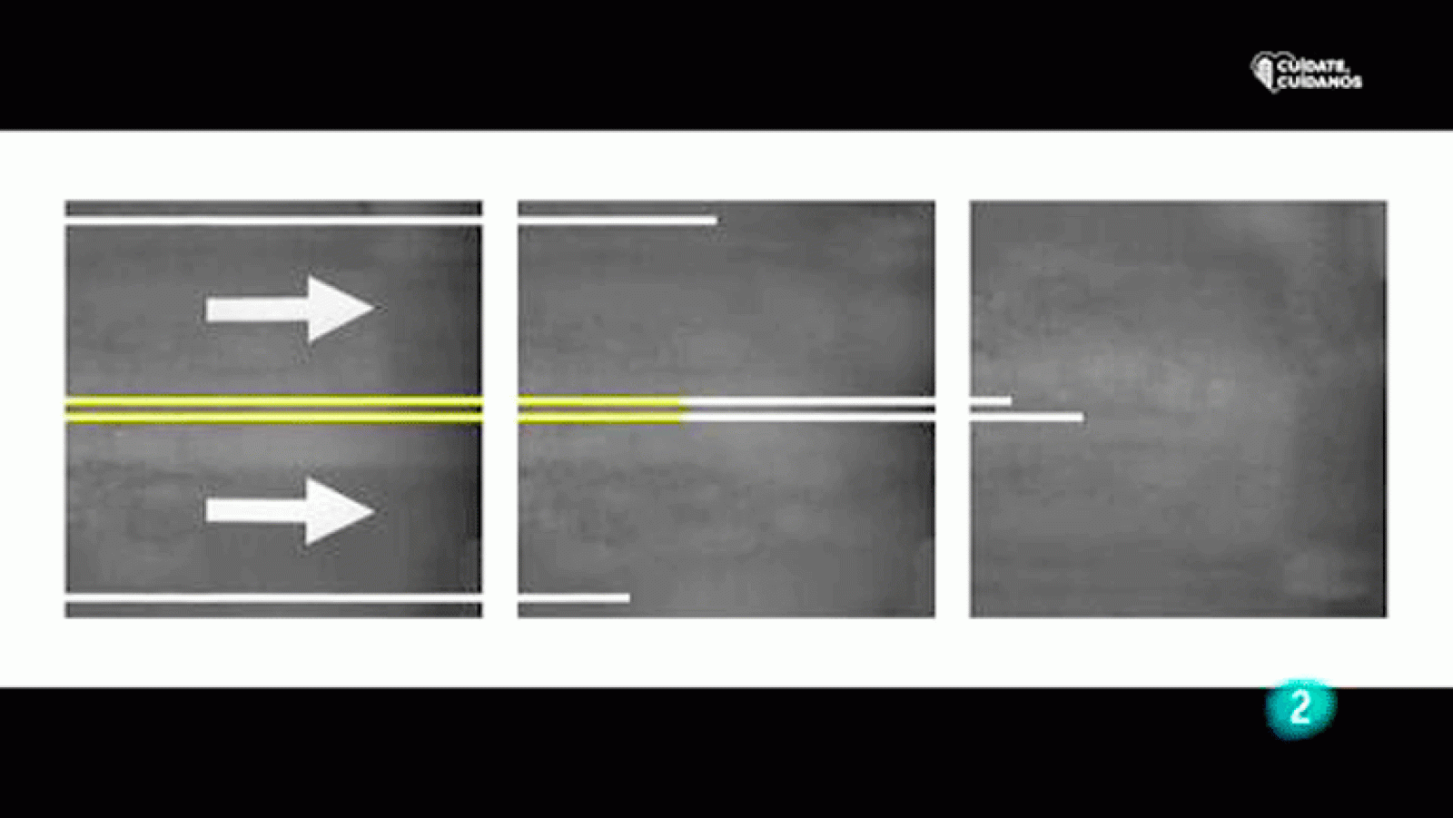 La aventura del saber. Boek visual: Jose Conceptes