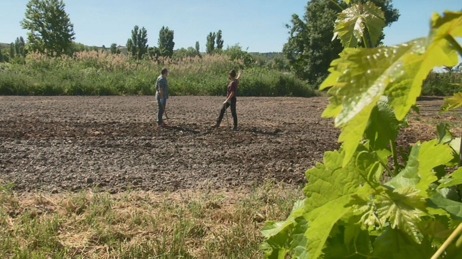 ¿Qué debe tener una "huerta perfecta"?