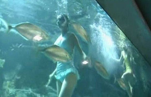  - Homenaje a Jackson bajo el agua