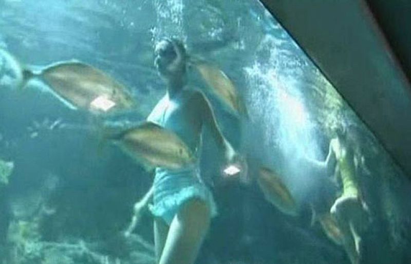 Homenaje a Jackson bajo el agua | Ver