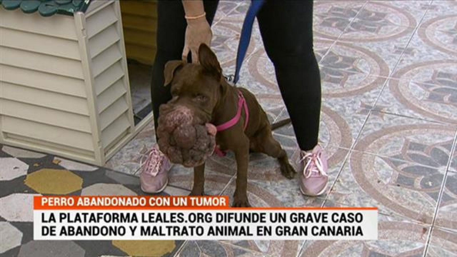 Cerca de ti - 12/06/2020