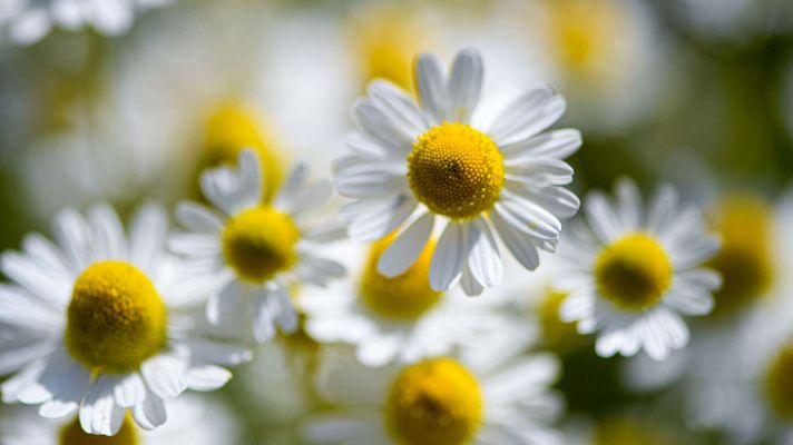 El tiempo - La borrasca fría se aleja y bajan las lluvias