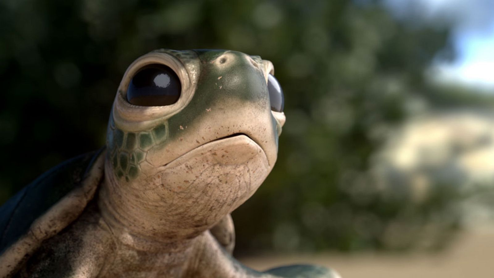 El mundo necesita envases con un buen final - El mes de... | Ver