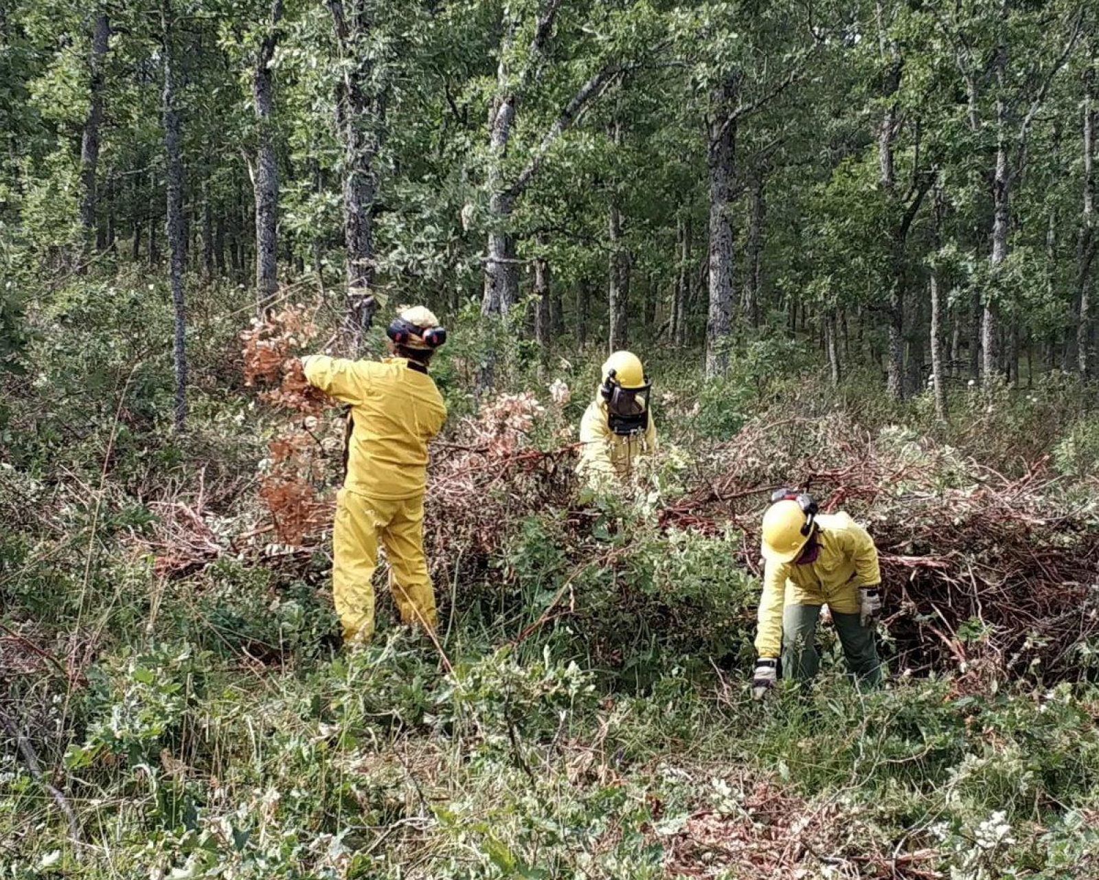 Desbrozando y limpiando los montes con los miembros del Servicio de Prevención y Extinción de Incendios - España Directo | Ver