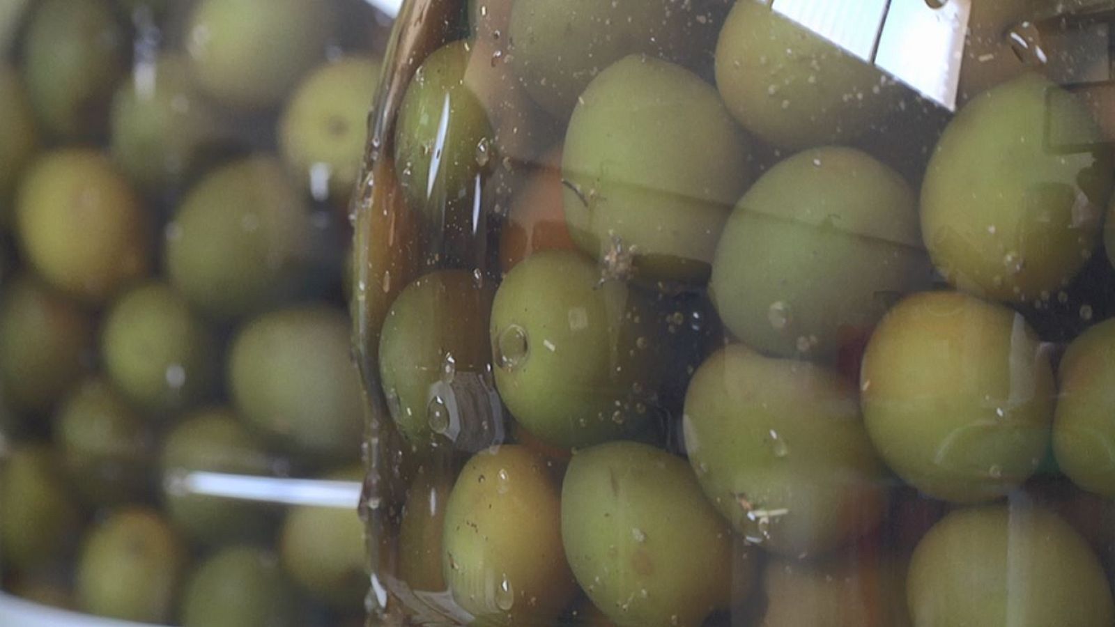 Aceitunas de Campo Real, ¡y su delicioso aliño!