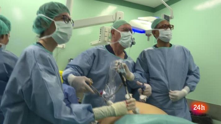 Repor - Quilos de Infelicidad  - Avance