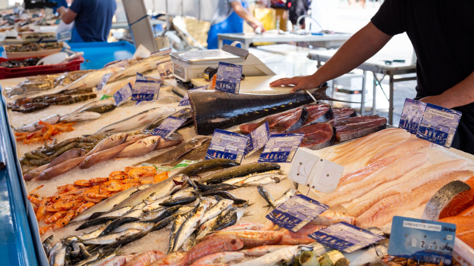 El pescado ideal para elaboraciones en crudo