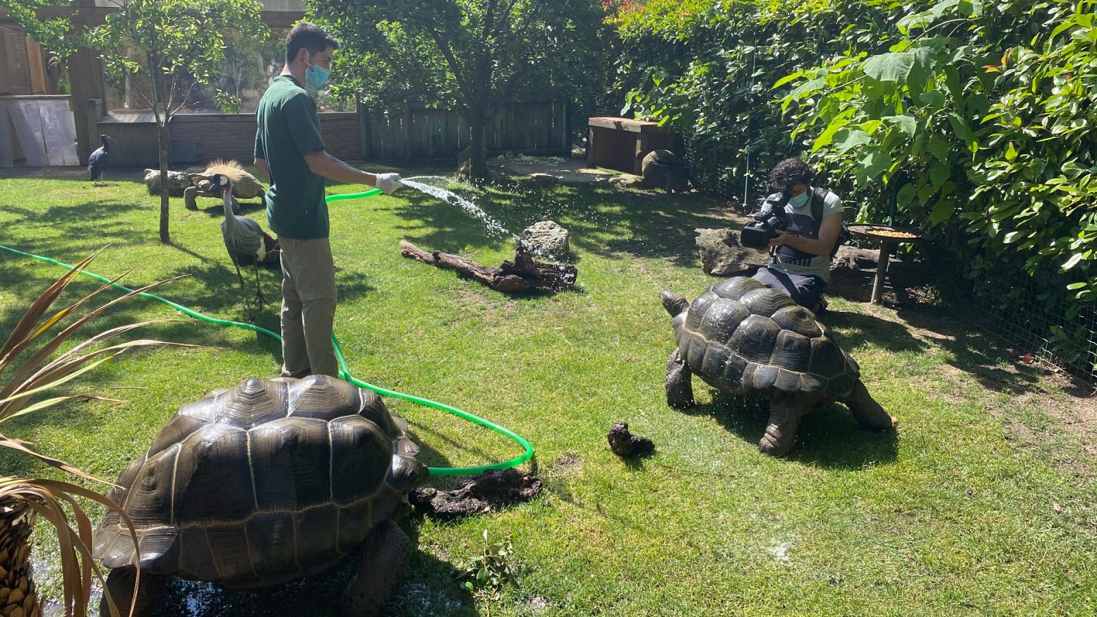 Aquí la Tierra - 18/06/20 - ver ahora