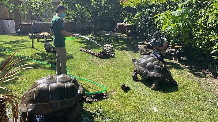 Aquí la Tierra - Aquí la Tierra - 18/06/20