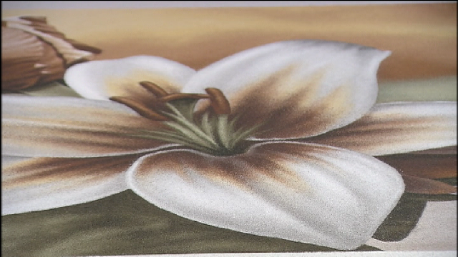 Canarias en 2 - 18/06/2020