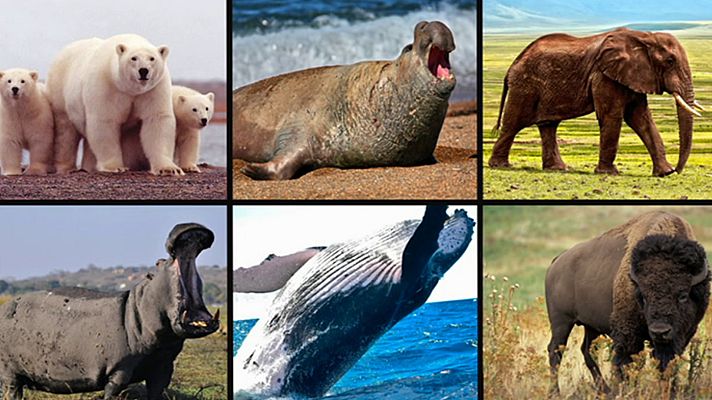 Saber y ganar - Saber y ganar - 19/06/20